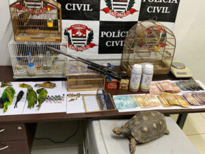 Policiais civis apreenderam animais, armas e outros objetos 
