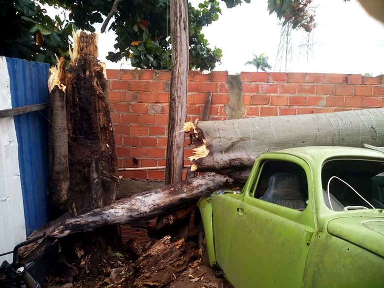 Leia mais sobre o artigo Árvore destrói muro e carro em casa do Jardim Marília II