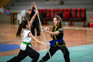Festival de Kung-Fu em Salto reuniu atletas nacionais e internacionais